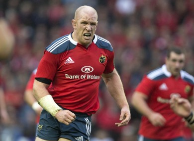 Munster's Paul O'Connell features in the best European XV team.
