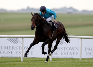 Brown Panther was put down today.
