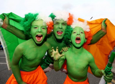 Fans at Ireland's European Championship qualifying round match against Georgia.