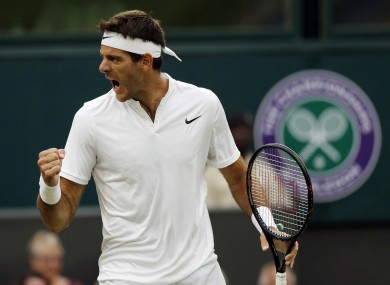 Argentina's Juan Martin del Potro