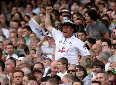 A Kildare fan celebrates (file pic).