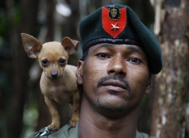 A rebel soldier poses for a photo with his dog.