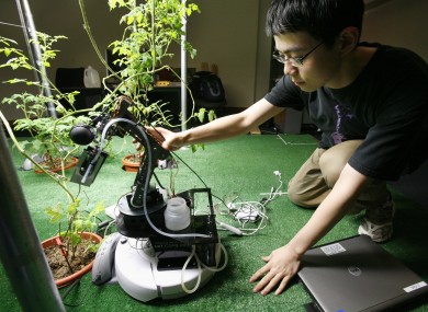 A student works with a robot gardener in MIT's Artificial Intelligence Lab