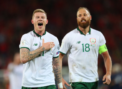 James McClean and David Meyler after last week's win over Wales.