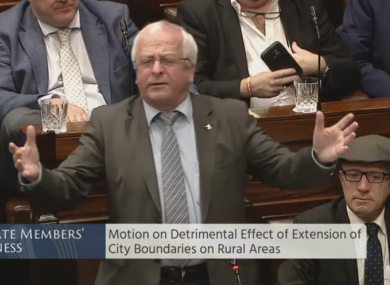 Mattie McGrath and Michael Healy-Rae are opposed to the expansion of Cork city