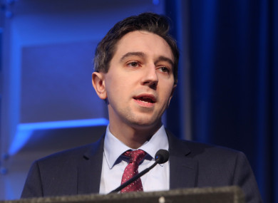 Health Minister Simon Harris will propose a bill that legislates for abortion up to 12 weeks.