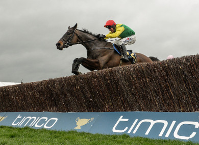 Sizing John triumphed in last year's Cheltenham Gold Cup.