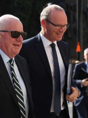Simon Coveney and Charles Flanagan arriving at Whitehall.