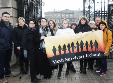 Members of the Mesh Survivors Ireland support group at Leinster House in January.