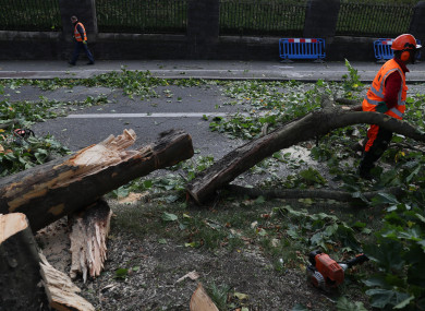 A fallen tree on Finglas Road near Glasnevin Cemetery.