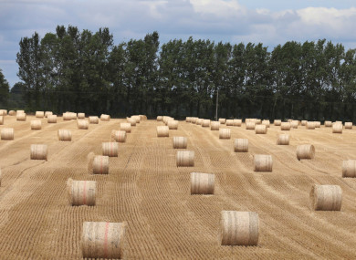 Bales of straw on a parched field in Kildare during July's heatwave.
