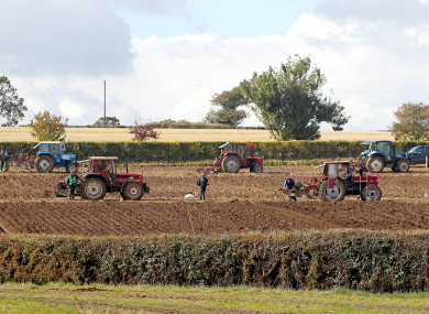 The National Ploughing Championships