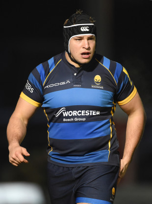 File photo of Milasinovich, playing for Worcester in 2016.