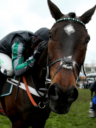 Jockey Nico de Boinville celebrates on Altior after winning the Betway Queen Mother Champion Chase.
