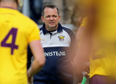 Wexford manager Davy Fitzgerald.