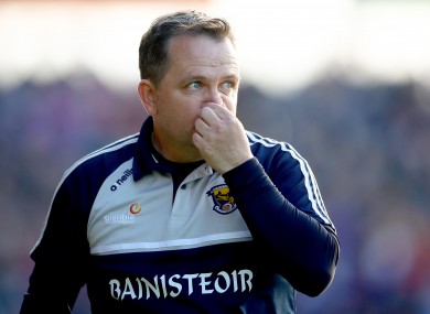Wexford boss Davy Fitzgerald.
