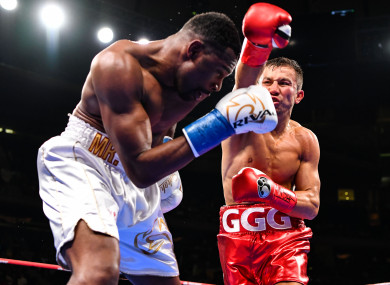 Gennady Golovkin beats Steve Rolls at MSG.