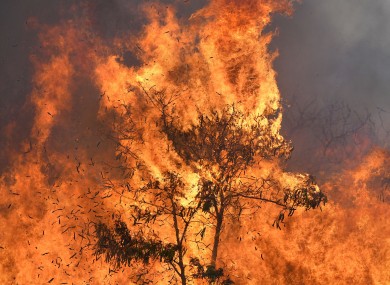 An out of control wildfire burns in Hawaii.