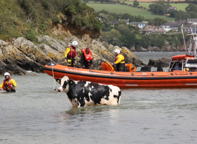 Ghost off the Kinsale coastline yesterday.