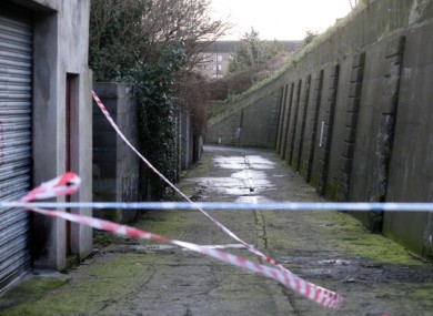 Gardaí at the scene of the burnt-out vehicle that was found on Trinity Terrace.