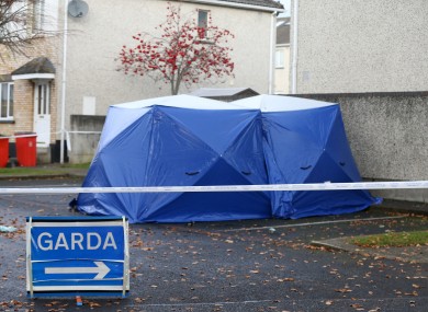 The scene where the burning car was found in Lucan in November.