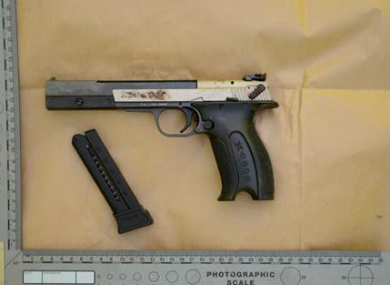 The gun is a a Hemmerli X-Esse pistol.
