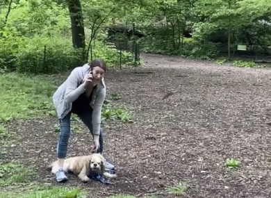 This image from video provided by Christian Cooper shows Amy Cooper with her dog calling police at Central Park in New York.