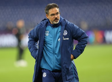 Schalke have cut ties with David Wagner.