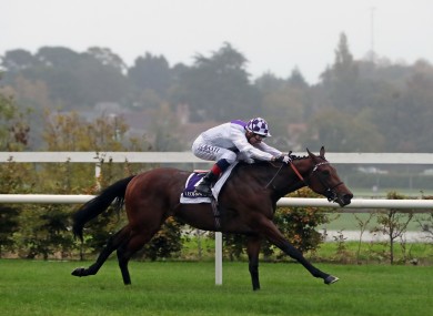 Poetic Flare wins at Leopardstown today.