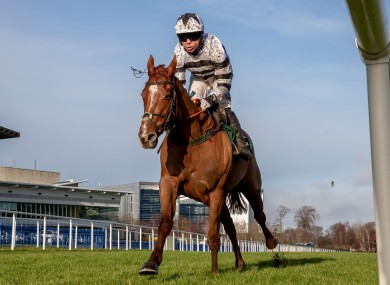 French Aseel in action at Leopardstown last month.