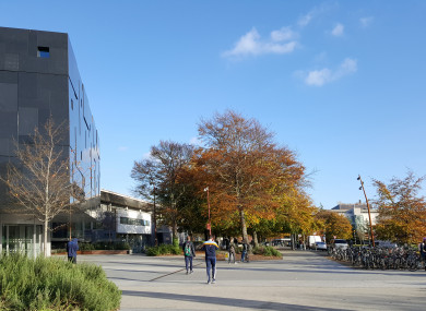 The accommodation is planned near UCD