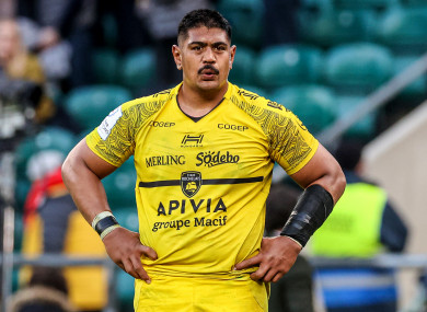 Skelton puts 'hand up' for Wallabies selection after reported rule change