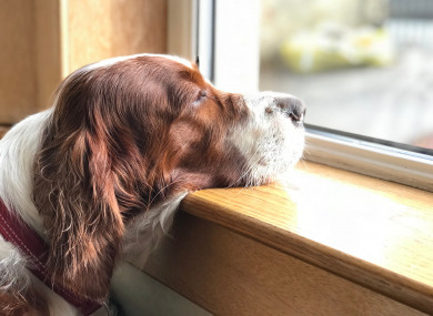He's thinking about it.