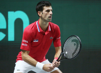 Novak Djokovic (file pic).
