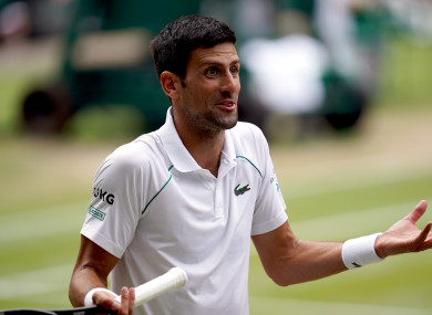 Novak Djokovic (file pic).