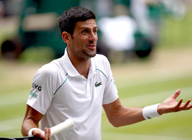 Novak Djokovic (file pic).