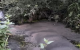 Bank of Ireland apologises after major oil spill at Dublin park
