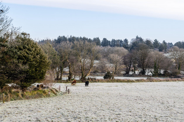 Sorry! Image not available at this time