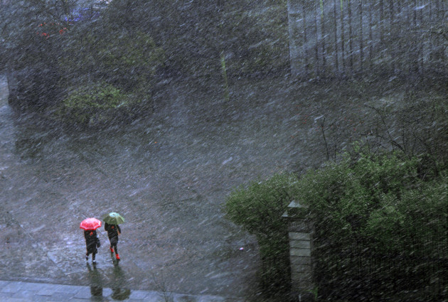 Sorry! Image not available at this time