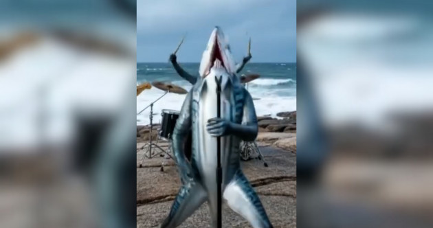 'An insult to what art is': Údarás na Gaeltachta's AI competition faces backlash from artists