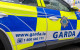 Man (20s) dies after 'firearms incident' in rural Carlow
