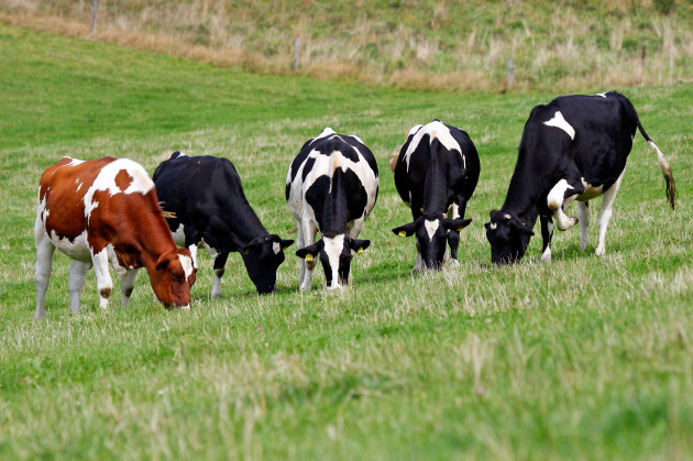 Sorry! Image not available at this time