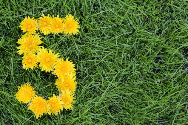 Sorry! Image not available at this time