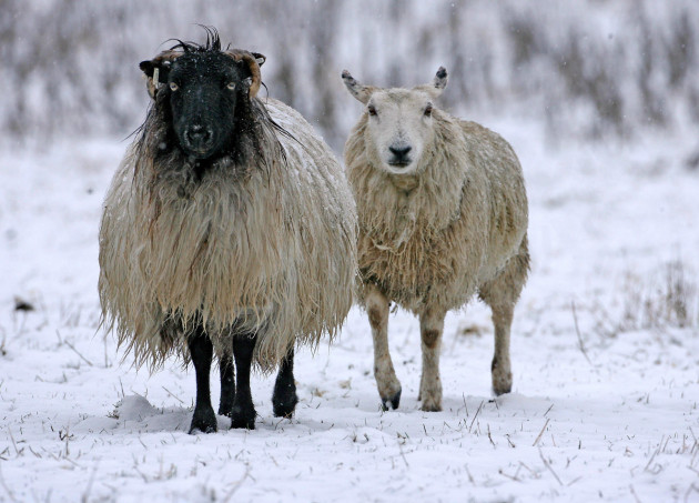 Sorry! Image not available at this time