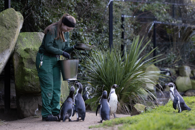 Sorry! Image not available at this time