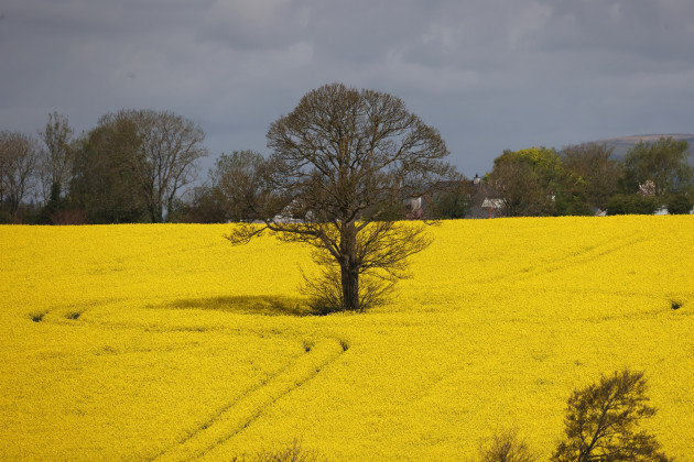 Here's What Happened Today: Monday