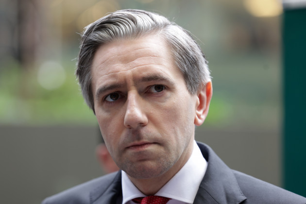 Tánaiste says the TD who gave a character reference to sex offender should come forward