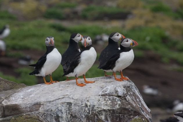 The 5 at 5: Thursday