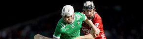 A 15th major title for Limerick in Kiely era as Gillane's class again on show