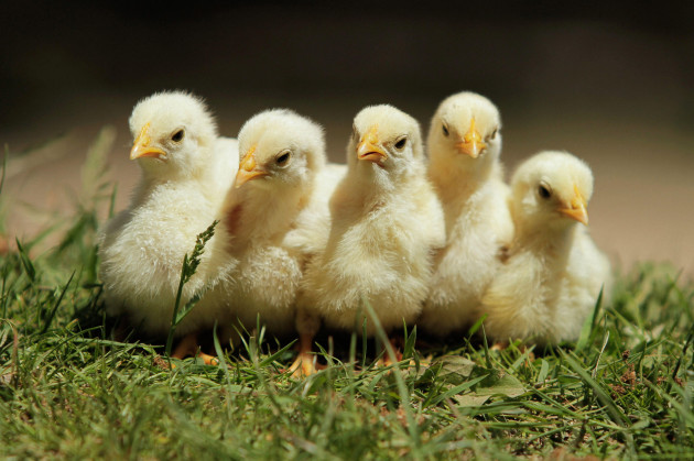 The 5 at 5: Saturday 